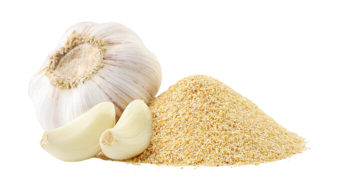 GARLIC POWDER 100g