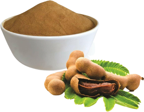 TAMARIND POWDER 100g