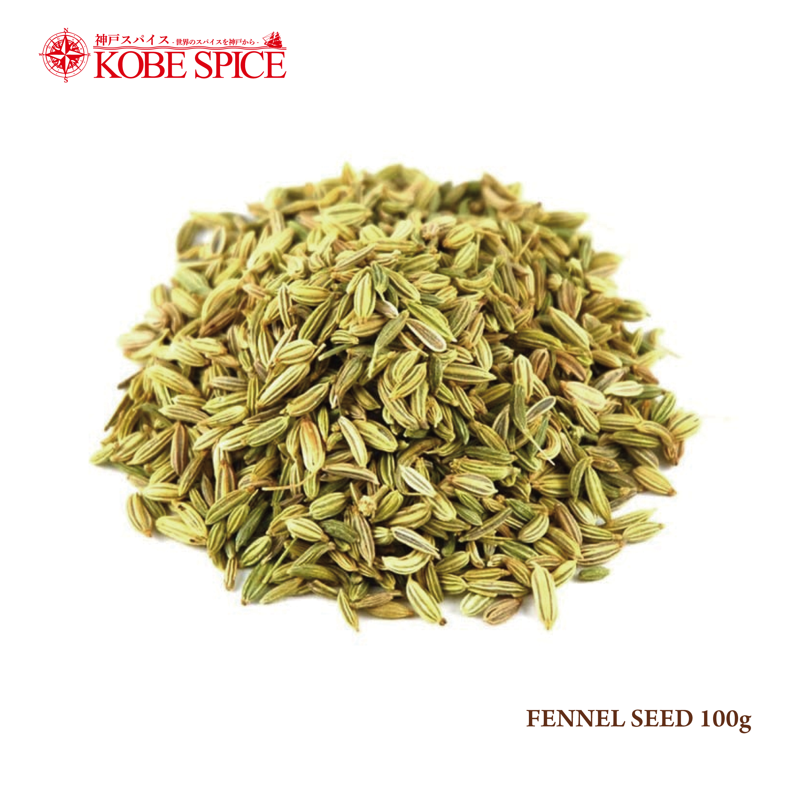 FENNEL SEED (50g, 100g, 250g, 500g)