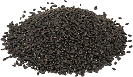 SWEET BASIL SEED (50g, 100g, 250g, 500g)