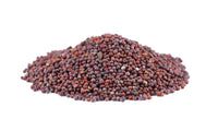 BROWN MUSTARD SEED (50g, 100g, 250g, 500g)