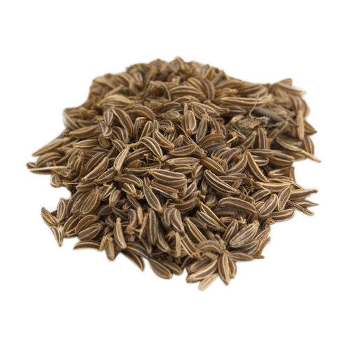 DILL SEED (50g, 100g, 250g, 500g)