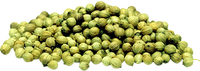 CORIANDER SEEDS (WHOLE) (50g, 100g, 250g,  500g)