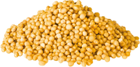 YELLOW MUSTARD SEED (50g, 100g, 250g, 500g)